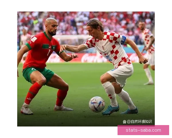 世界杯竞猜赔率分析与推荐助你精准预测精彩赛事结果